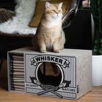 District 70 WHISKER District 70 District 70 WHISKER