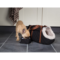 Scruffs Wilton Carrier - Black Scruffs® Scruffs Wilton Carrier - Black