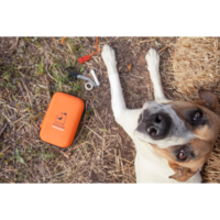 Dogslife Emercency Kit DogsLife Dogslife Emercency Kit