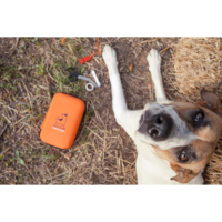 DogsLife Emercency Kit