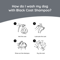 Greenfields Dog Shampoo Black Coat 250 ml