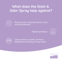Greenfields Stain & Odour Spray 400 ml