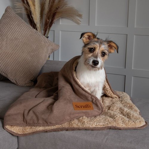 Scruffs Cosy Blanket