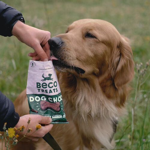 Beco Treats - Dog Choc with Camomile & Quinoa 1 x 70g