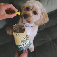 Beco Treats - Peanut with Coconut & Turmeric 1 x 70g Beco Beco Treats - Peanut with Coconut & Turmeric 1 x 70g