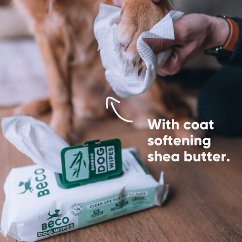 Beco Bamboo Dog Wipes - Unscented - 80 Pack