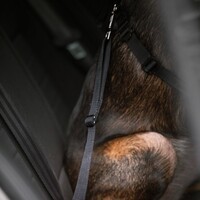 Rukka Car Seatbelt Clip