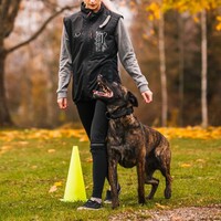 Rukka Pets - Training Vest RukkaPets Rukka Pets - Training Vest