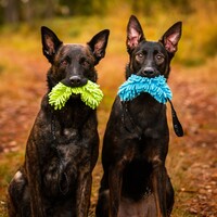 Rukka Pets - Fluffy 2Handle RukkaPets Rukka Pets - Fluffy 2Handle