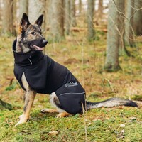 Rukka Pets - Windy Thermal Jacket RukkaPets Rukka Pets - Windy Thermal Jacket