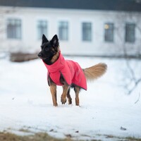 Rukka Pets - Windy Thermal Jacket RukkaPets Rukka Pets - Windy Thermal Jacket