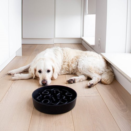 District 70 BAMBOO Slow Feeder Dog Bowl - Ø21 and Ø28 cm