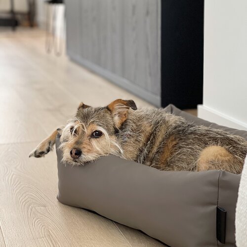 District 70 URBAN Box Bed - Faux leather dog bed - Dark grey, Latte & Taupe