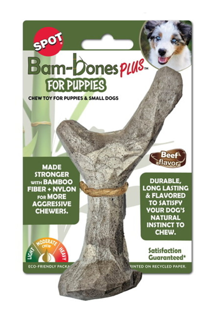 Bam bone 2025