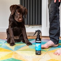 Animology Mucky Pup Droog Shampoo (6x)