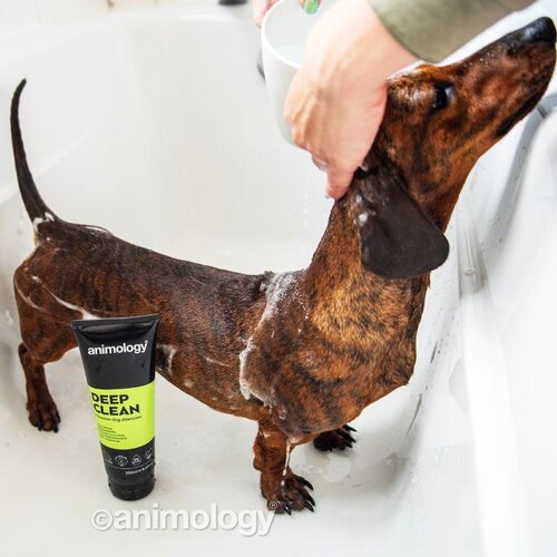 Animology Deep Clean Shampoo 250ml (6x)