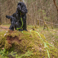 Rukka Grip Tracking Leash