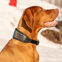 Luminous Soft Collar Rukka Pets Luminous Soft Collar
