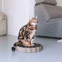 District 70 SUNNY Multifunctional Cat Toy - 32 x 32 x 6 cm