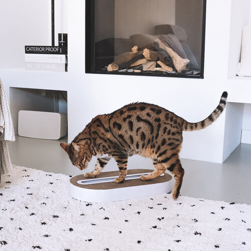 District 70 TRACK Multifunctional Cat Toy - 52 x 26 x 6 cm