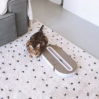 District 70 TRACK Multifunctional Cat Toy - 52 x 26 x 6 cm