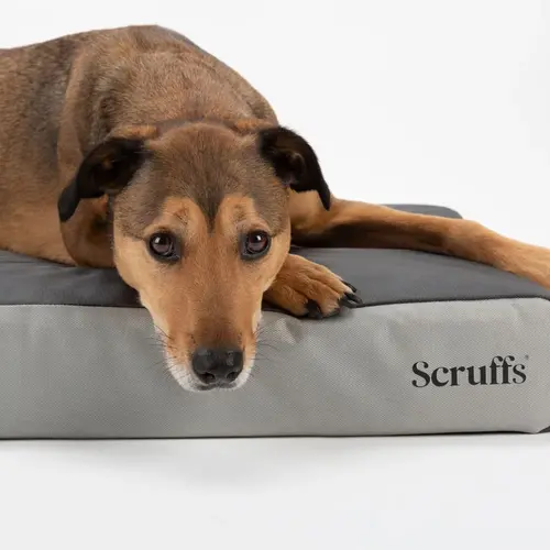 Scruffs ArmourDillo Orthopedic Dog Bed