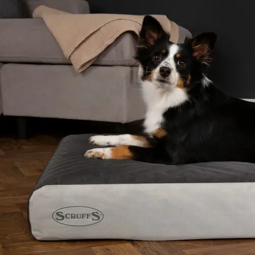 Scruffs ArmourDillo Orthopedic Dog Bed