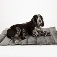 Scruffs Expedition Roll Up Travel Pet Bed