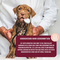 Skin Health Supplement voor honden - 270 g Imby Skin Health Supplement voor honden - 270 g