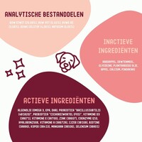 Skin Health Supplement voor honden - 270 g Imby Skin Health Supplement voor honden - 270 g
