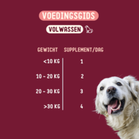 Skin Health Supplement voor honden - 270 g Imby Skin Health Supplement voor honden - 270 g