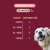 Imby Skin Health Supplement voor honden - 270 g