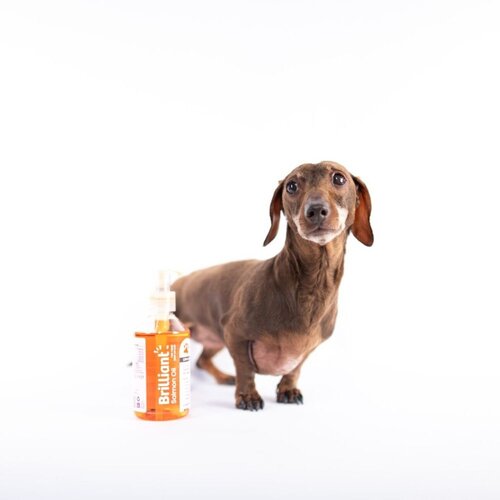 Brilliant Salmon Oil  - 300 ml or 1000 ml