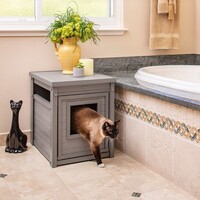 Litter Loo - Kattentoilet en Bijzettafel New Age Pet Litter Loo - Kattentoilet en Bijzettafel