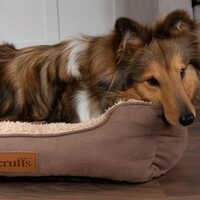 Cosy Box Bed Mixed Carton - 6 stuks Scruffs Cosy Box Bed Mixed Carton - 6 stuks