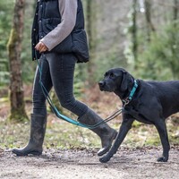 Rukka Solid Leash