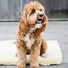 HuggleGroup - HuggleFleece Mat HuggleGroup - HuggleFleece Mat