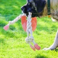 HuggleHounds® Rope Knotties™ - Konijn, Aap of Eend - L/XL