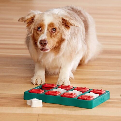 Outward Hound Dog Brick - Dog Puzzle - Level 2