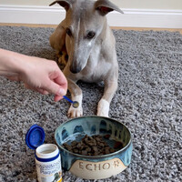 ProDen PlaqueOff Powder for Dogs