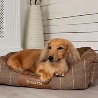 Scruffs Windsor Box Bed