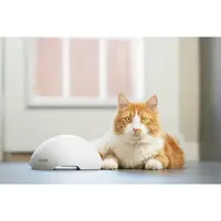 PetSafe Fox Den Toy Automatic Cat Teaser