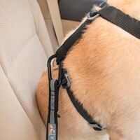 Kurgo Dog Seatbelt Loop