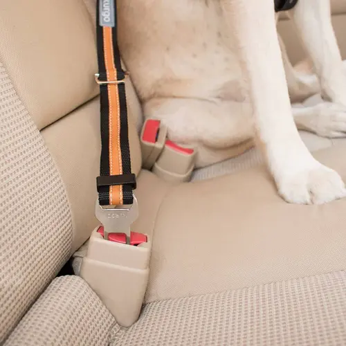 Kurgo Direct to Seatbelt Tether - Zwart/Oranje