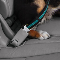 Kurgo Direct to Seatbelt Swivel Tether - Blue