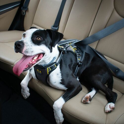 Kurgo Impact Dog Car Harness