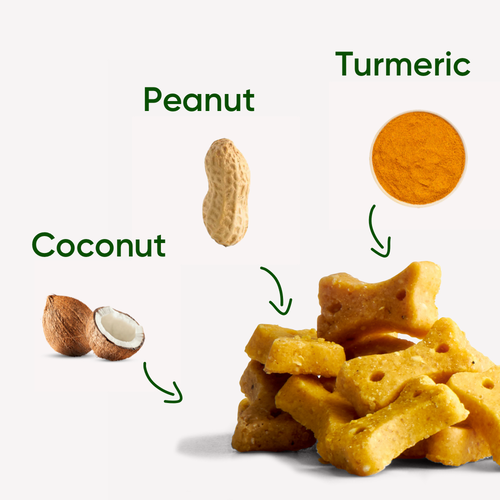 Beco Treats - Peanut with Coconut & Turmeric - 1 x 70g