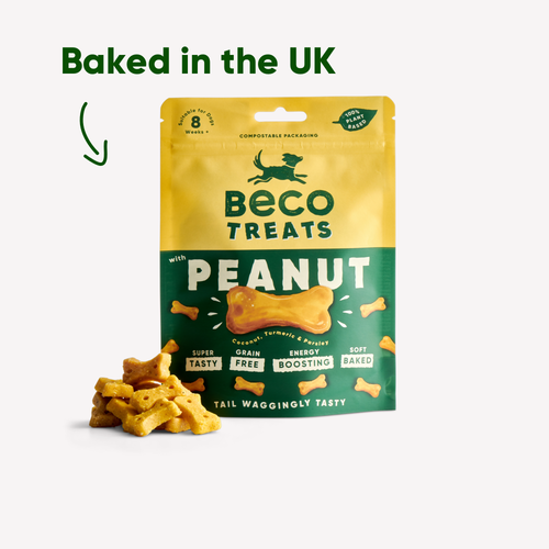 Beco Treats - Peanut with Coconut & Turmeric - 1 x 70g