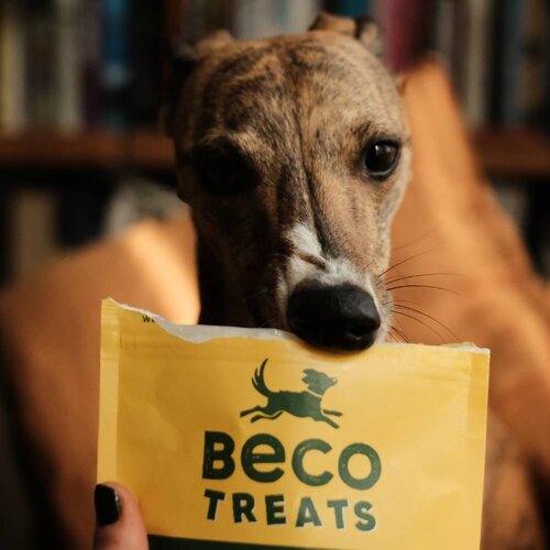 Beco Treats - Peanut with Coconut & Turmeric - 1 x 70g