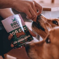 Beco Treats - Dog Choc with Camomile & Quinoa 1 x 70g